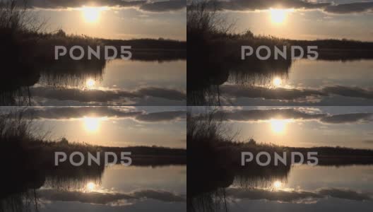 背景芦苇和阳光反射的水自然英国4K高清在线视频素材下载