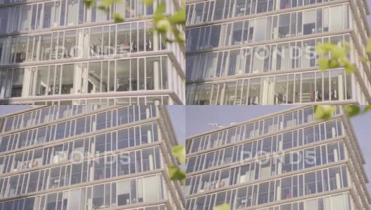 玻璃幕墙的现代办公楼高清在线视频素材下载