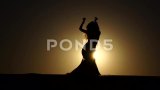 专业舞者在炙热的夕阳背景下优雅起舞高清在线视频素材下载